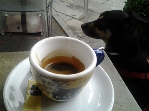 Frauchen shoppt, die Herren chillen