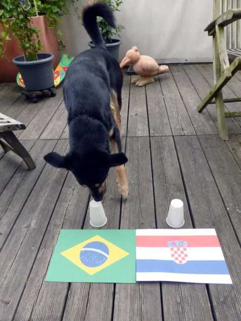 Da muss Luis nicht lange nachdenken...