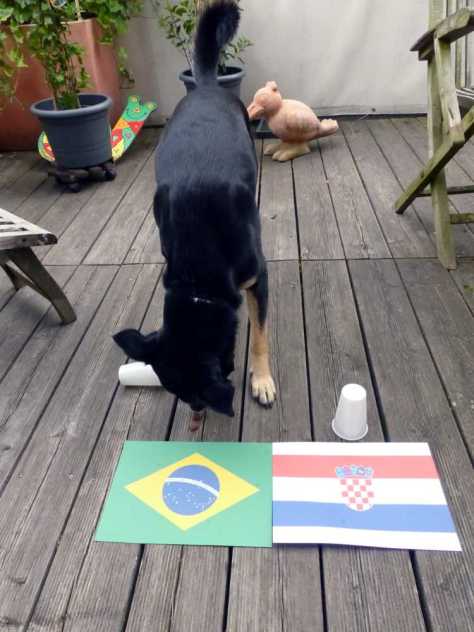 ... und entscheidet sich selbstbewusst für Brasilien!