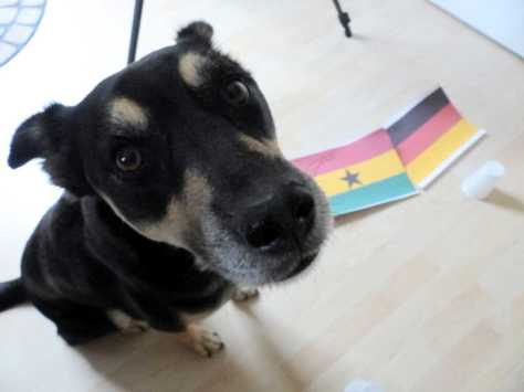 "Also Luis, hör mal gut zu: Wir machen gleich zwei Durchgänge."