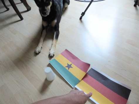 "Das ist Deutschland. Dort wohnen die Menschen, die mit Dir täglich Gassi gehen und Dein Futter bezahlen."