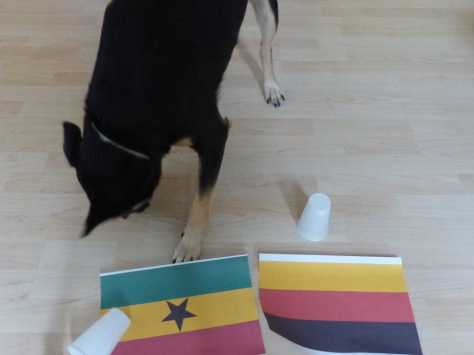 Durchgang 1: Luis entscheidet sich für Ghana