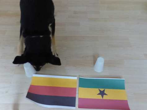 Durchgang 2: Der Ausgleich