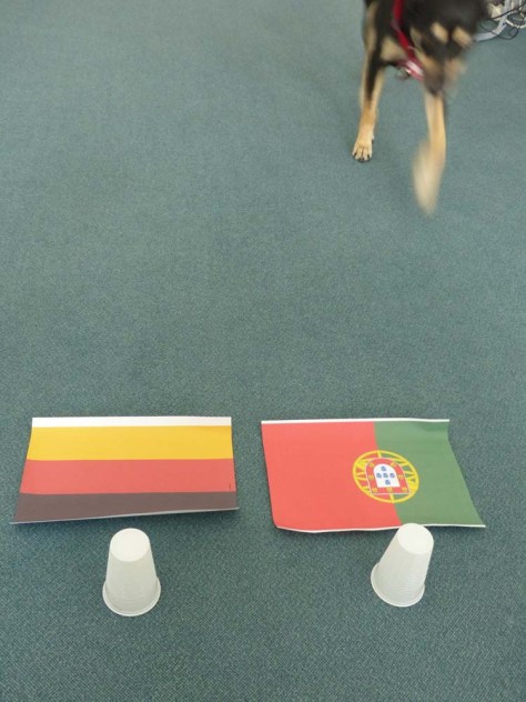 Bereits im ersten Ansatz ist eine Tendenz erkennbar...