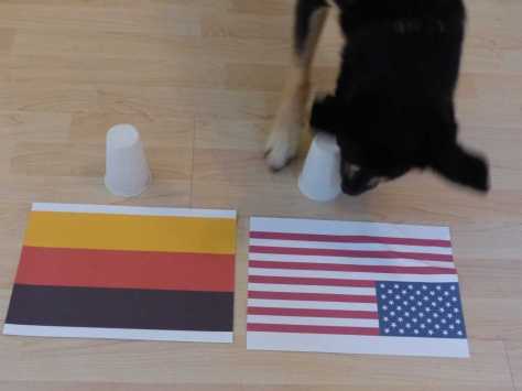 Ohne Zaudern fällt die erste Entscheidung zugunsten der USA