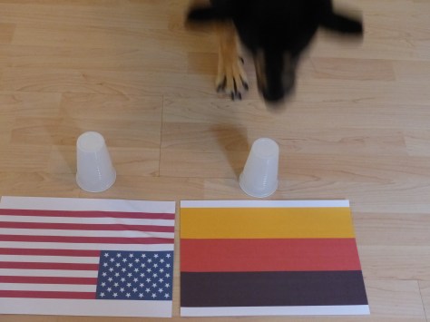 Erst im zweiten Anlauf...