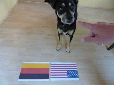 "Auch wenn Du es schon kennst: Gut aufpassen!"