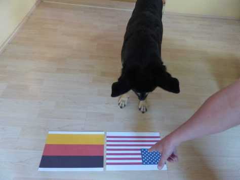 Das sind die USA. Dort gibt es Menschen, die Hot Dogs (!) essen.