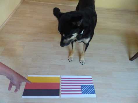 Das in Deutschland, dessen Flagge Schwarzwurst, Rote Wurst und Käsebrote symbolisiert.