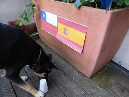 Versuchsaufbau 1: Luis entscheidet sich für Spanien