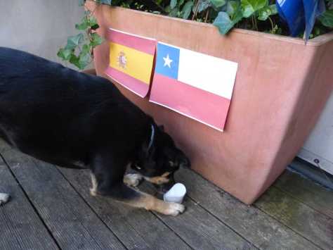 Versuchsaufbau 2: Luis entscheidet sich für Chile