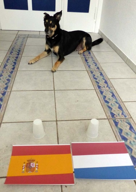 Wenig überraschend: Vor Beginn der Partie leichte Sympathie für Spanien