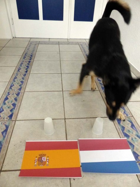 Doch die Niederlande erwischen den besseren Start....