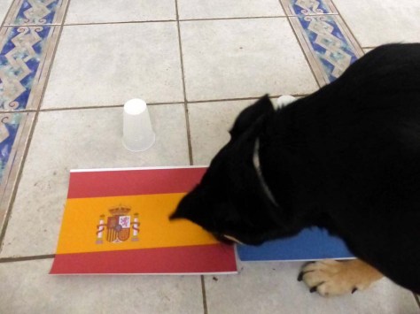 ... dem Spanien schnell Paroli bieten kann.