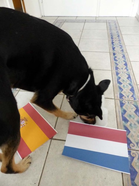 Erneut dreht sich das Spiel...