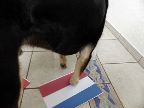 ... auf dem Rasen spielen sich chaotische Szenen ab ...