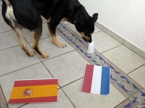 ... und führen zu einem hauchdünnen Vorsprung für die Niederlande.