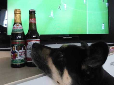 Tannenzäpfle vs. Budweiser