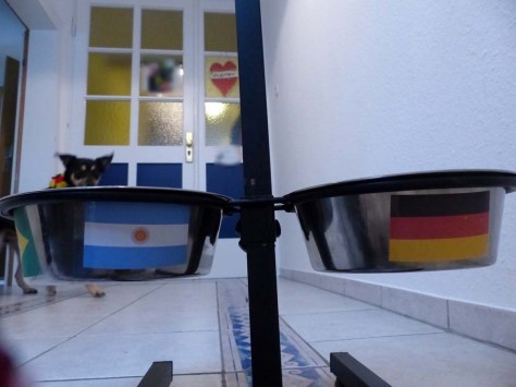 Kurz vor dem Finale ist auch Luis vom Fußball-Fieber angesteckt ...