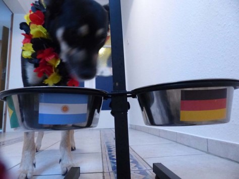 ... entscheidet sich dann aber für den Napf ...