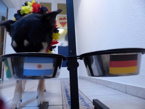 ... aber trotz intensiver Suche nicht findet ...