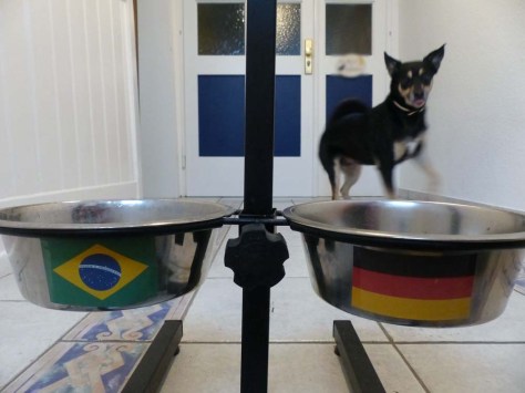 ... zum internationalen Frühstück ...