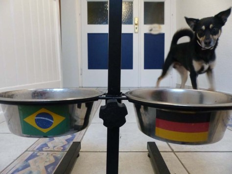 ... dessen Näpfe nur ganz zufällig ...