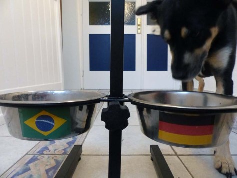 ... die Flaggen der Halbfinalisten tragen.