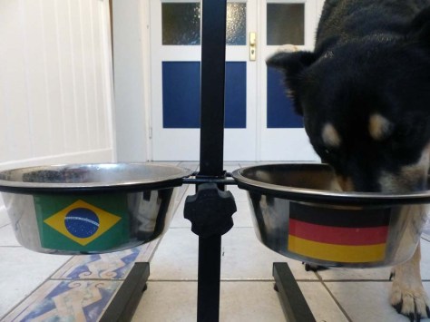 Ordnung und Fortschritt statt ordem e progresso