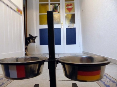 Dies ist kein Orakel ...