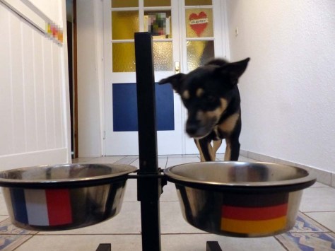 ... sind rein zufällig.