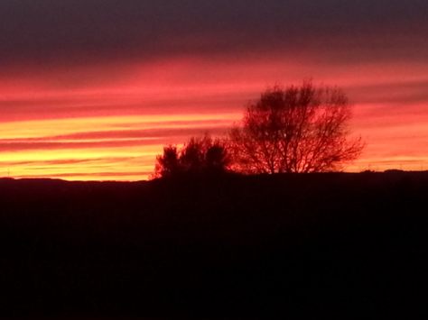 IMG_20141013_185627.jpg image