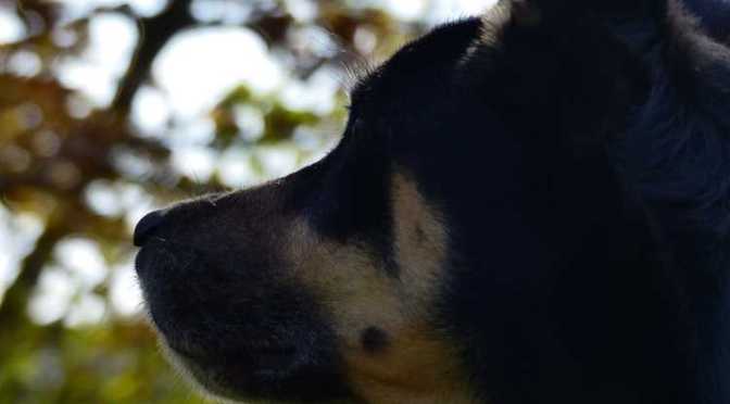 Mehr Details zum Mitraten: Extrem-Gassi-Going 2015