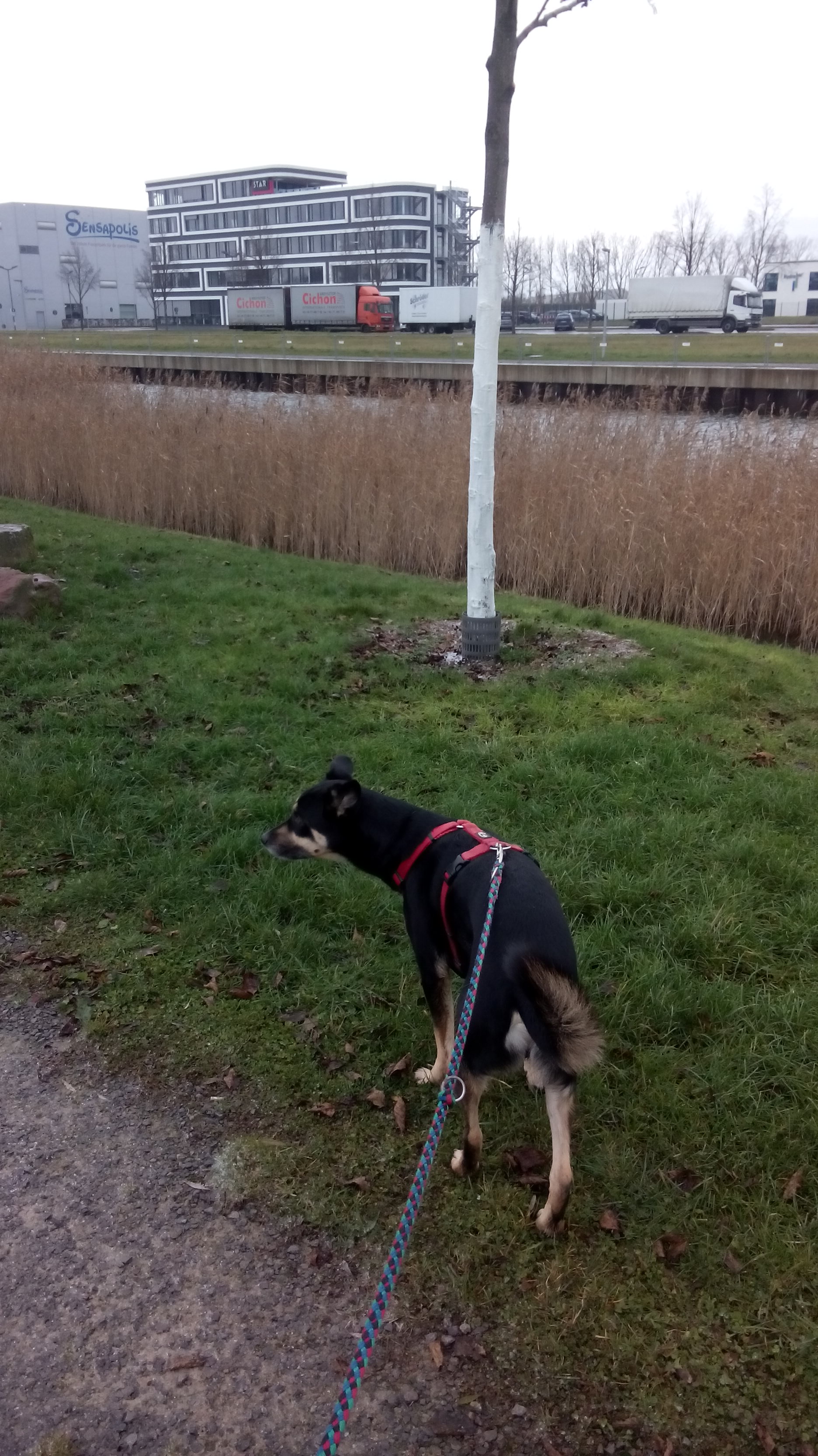 IMG-20141210-WA0002.jpeg image