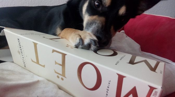 Luis wünscht ein gutes 2015…