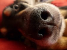 Die richtge Auswahl des Extrem-Gassi-Going-Projekts bedarf sorgfältiger Überlegungen.