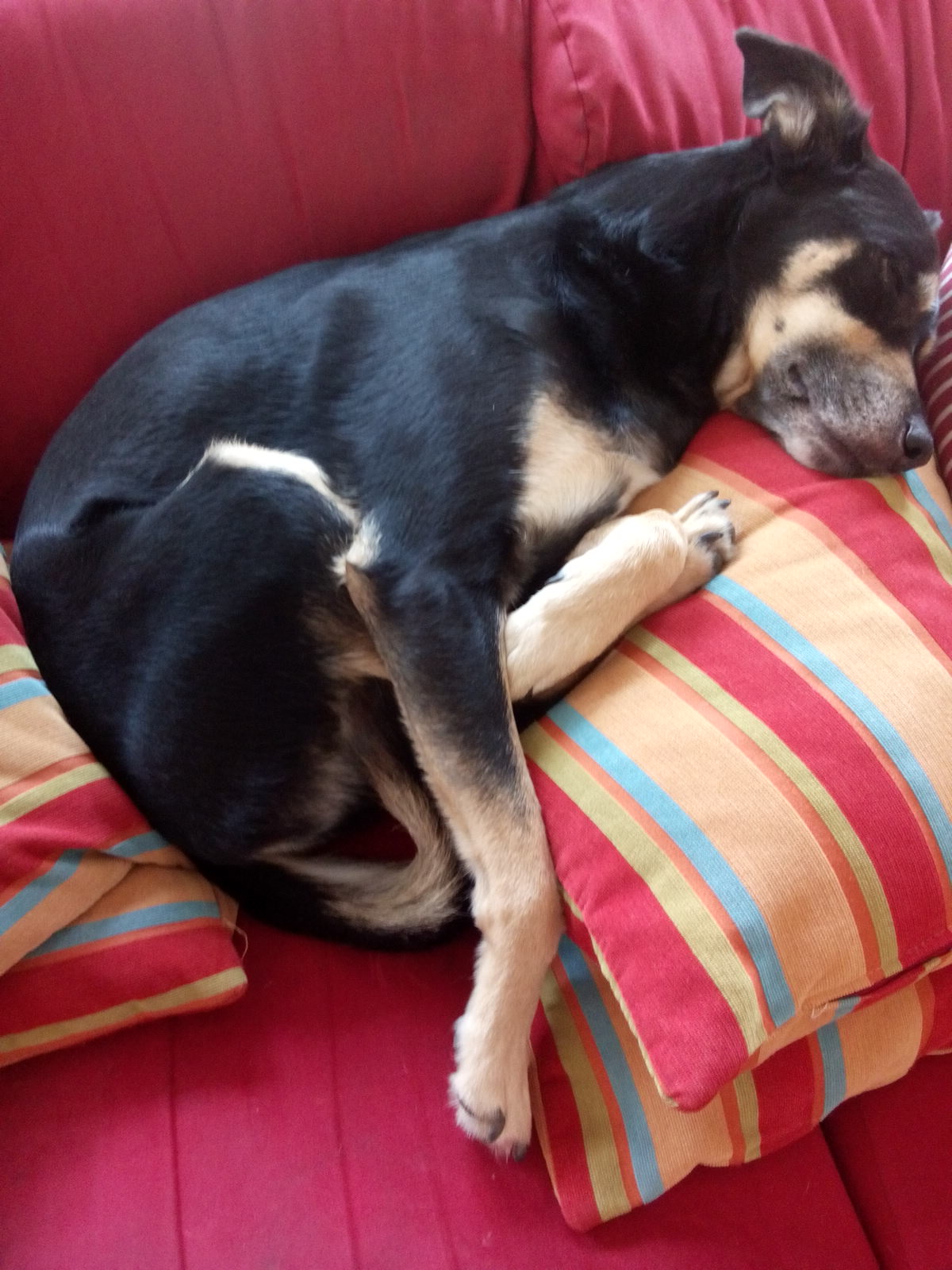 IMG_20150106_122010.jpg image