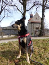 Luis vor der Weilerkirche Owingen