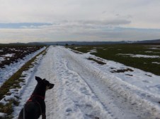 Feld und Fluor vor Groul -- und ganz hinten Kloster Kirchberg