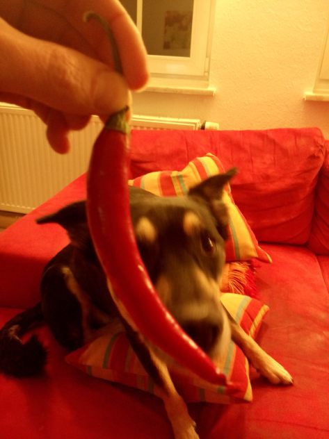 Und? Jetzt scharf genug?