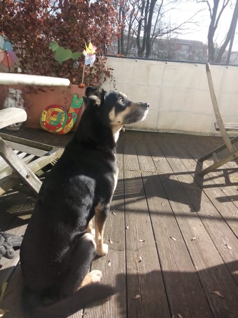 IMG_20150228_102533.jpg image