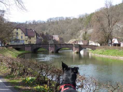 Dass Sulz am Neckar liegt ist kaum zu leugnen