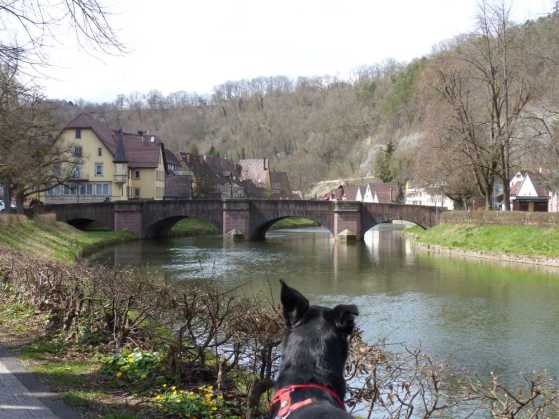 Dass Sulz am Neckar liegt ist kaum zu leugnen