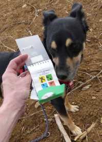 Nicht gesucht, trotzdem gefunden: Geocache-Final