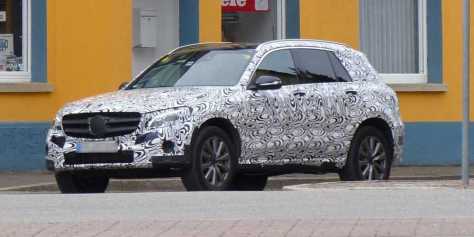 Auffällig unauffällig: Pausenprogramm für Dornhan-Wanderer