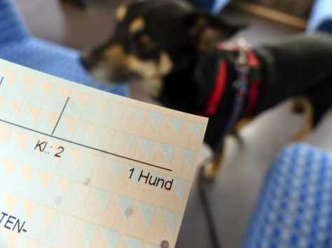 Die größte Herausforderung des Tages: 