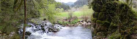Naturdenkmal an der Kinzig