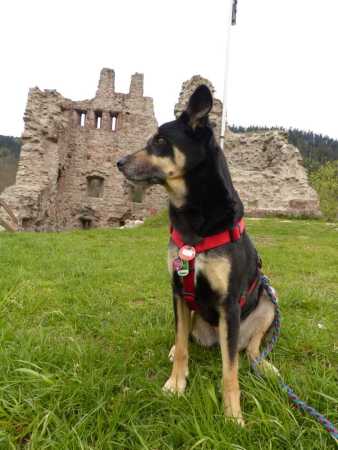 Schenkenburg-Burghund