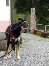 Langeweile macht albern