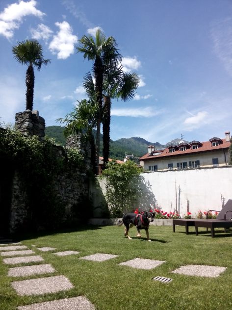 IMG_20150522_142704.jpg image